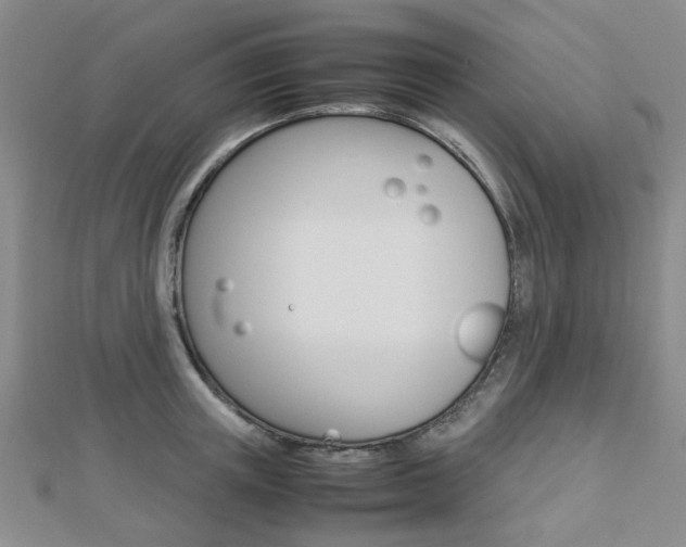 X0000112870851200908211028