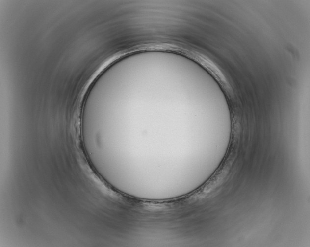 X0000112870852200908211028