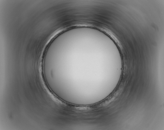 X0000112870853200908211028