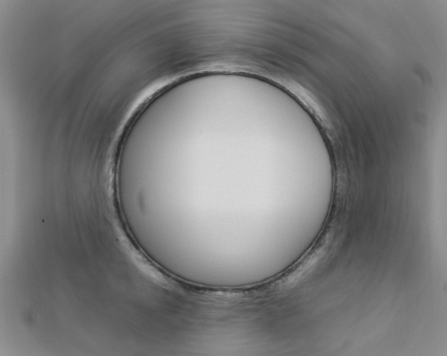 X0000112870854200908211028