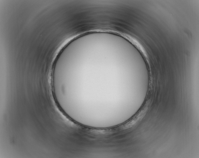 X0000112870855200908211028