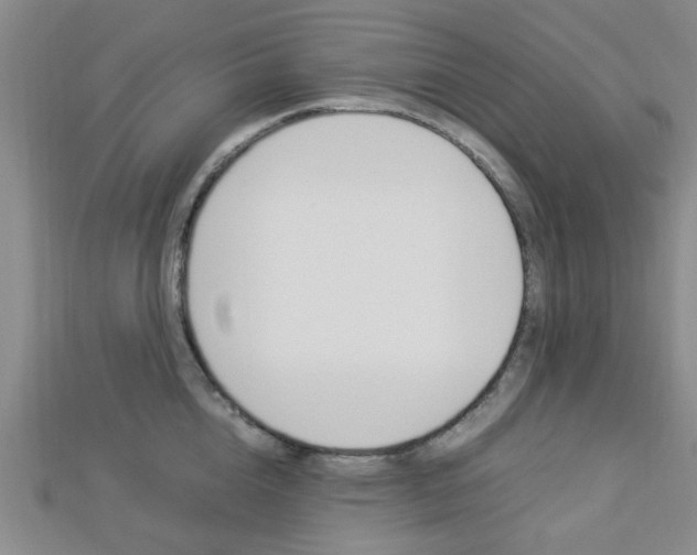 X0000112870856200908211028