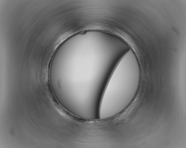 X0000112870858200908211028