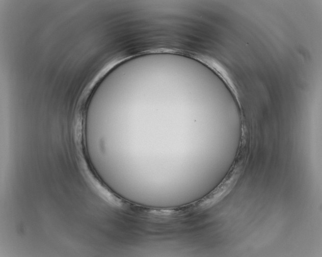 X0000112870859200908211028
