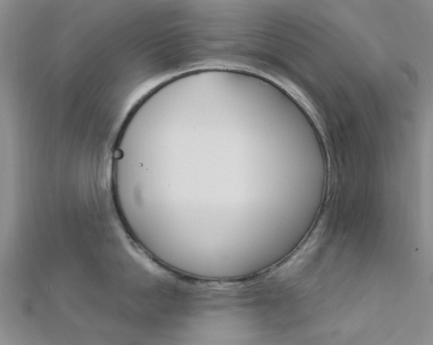 X0000112870862200908211028