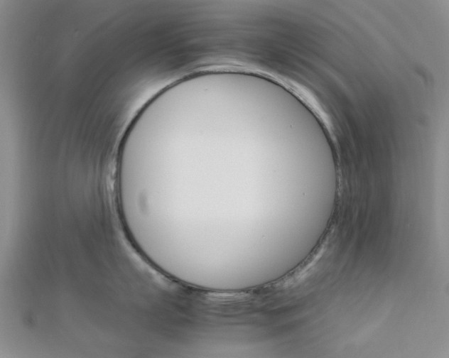 X0000112870863200908211028
