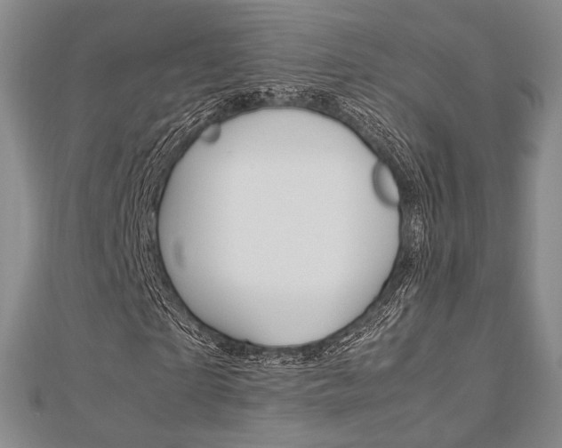 X0000112870865200908211027
