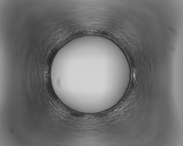 X0000112870867200908211027