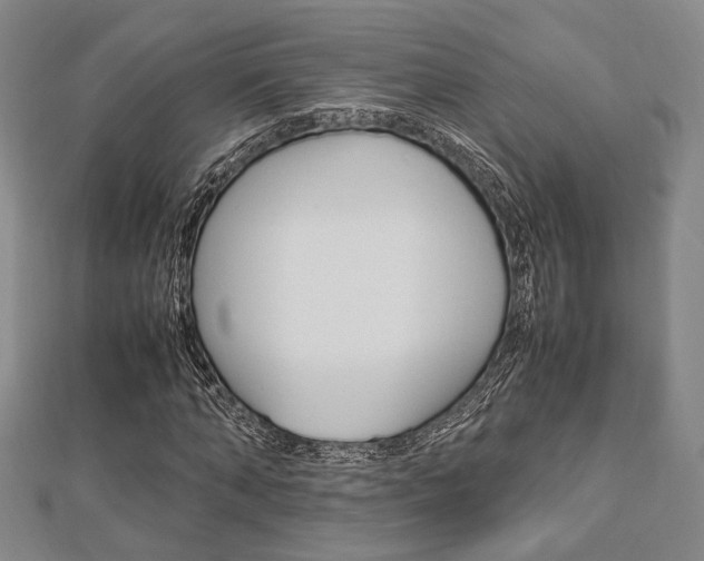 X0000112870870200908211027