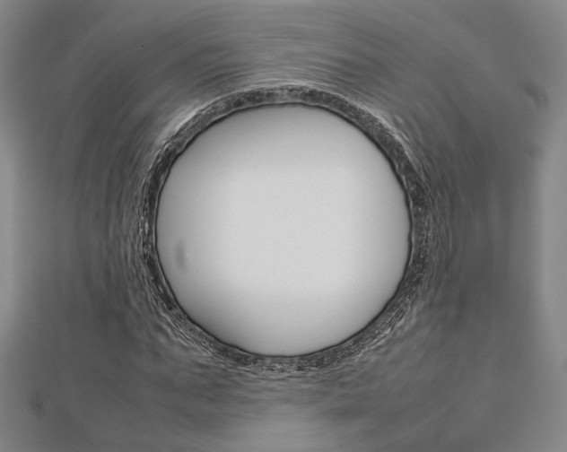 X0000112870871200908211027