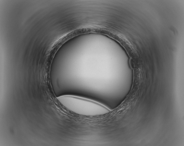X0000112870872200908211027