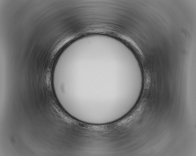 X0000112870874200908211027