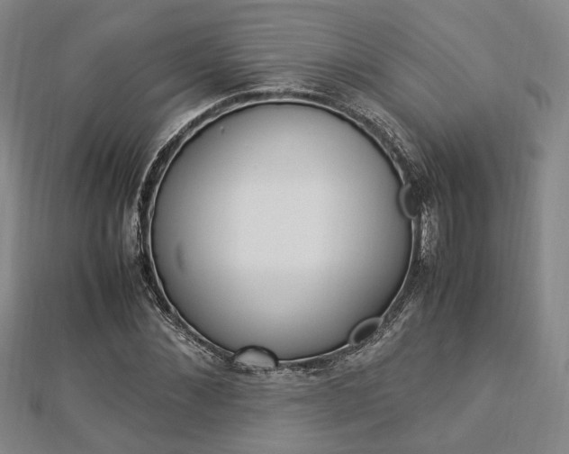 X0000112870876200908211027