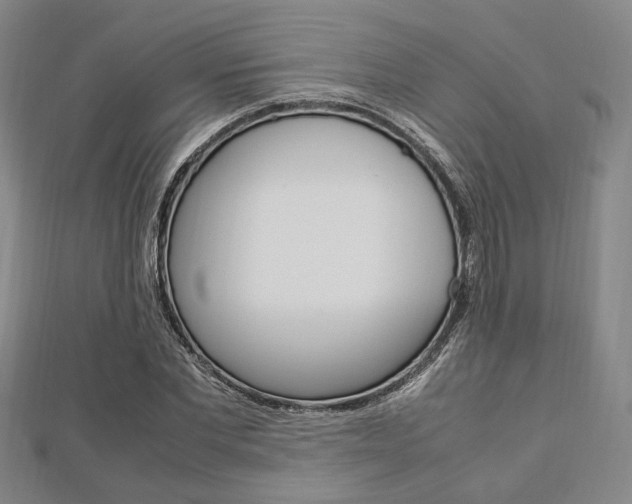 X0000112870877200908211027