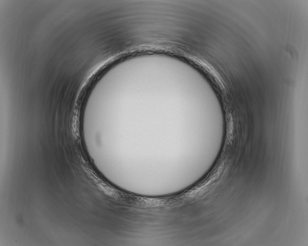 X0000112870878200908211027