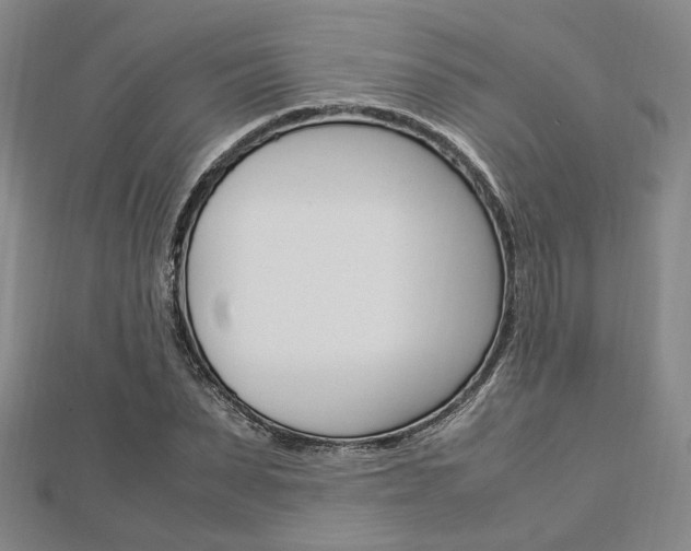 X0000112870879200908211027