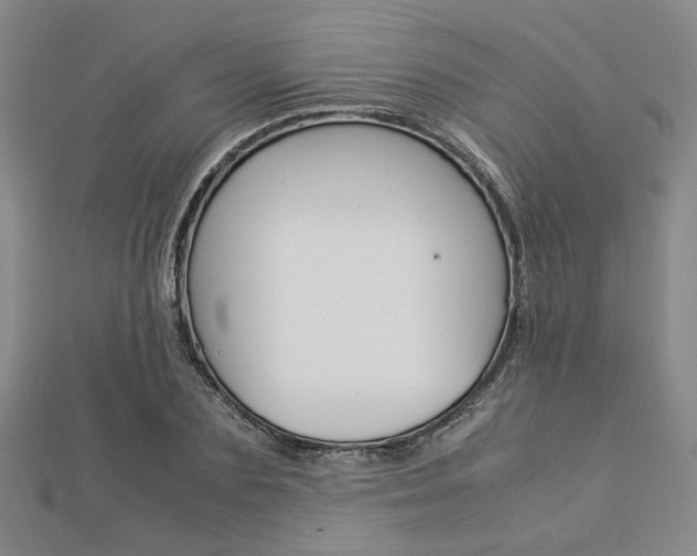 X0000112870883200908211027