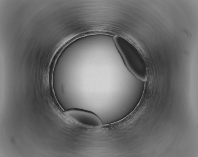 X0000112870884200908211027