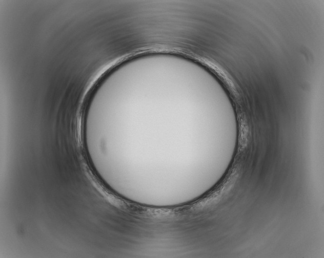 X0000112870886200908211027