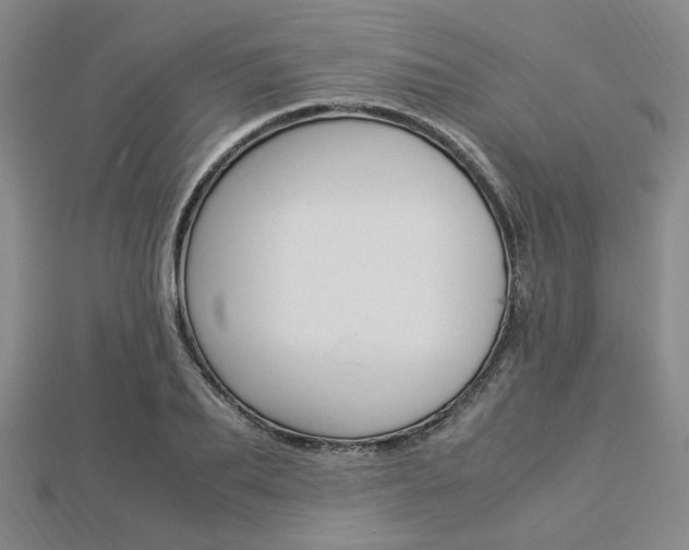 X0000112870887200908211027