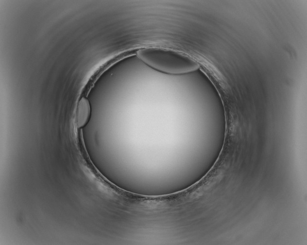 X0000112870888200908211027