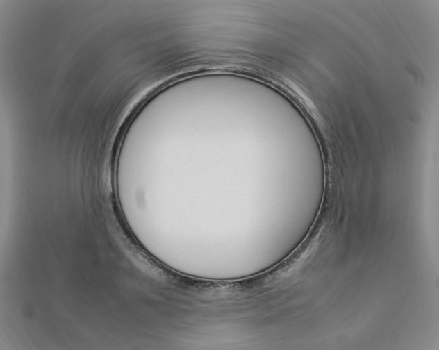 X0000112870891200908211027