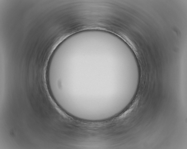 X0000112870893200908211027