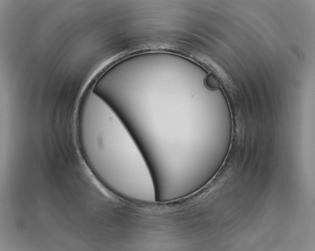 X0000112870894200908211027