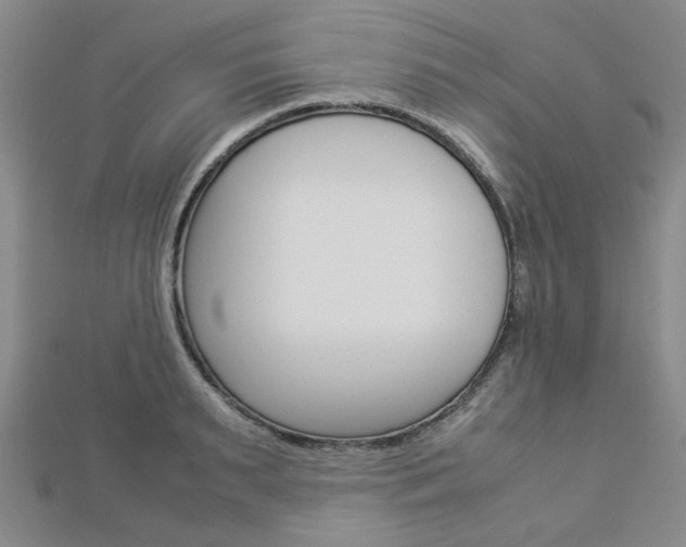 X0000112870895200908211027