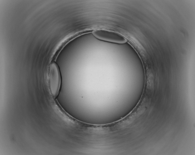 X0000112870896200908211027