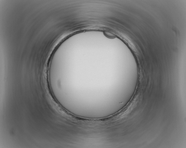 X0000112870899200908211027