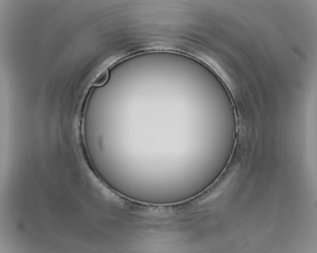 X0000112870901200908211027