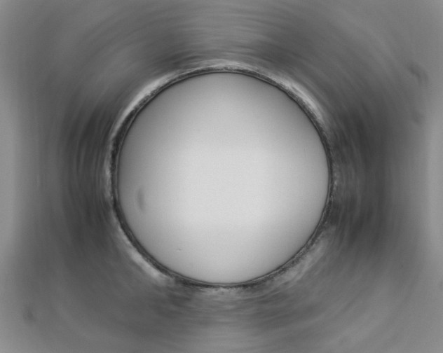 X0000112870902200908211027