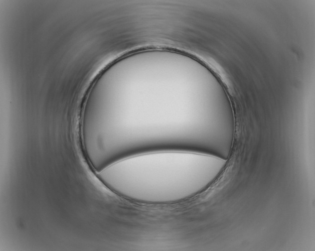 X0000112870903200908211027