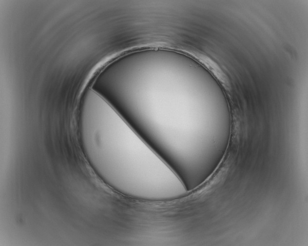 X0000112870904200908211027