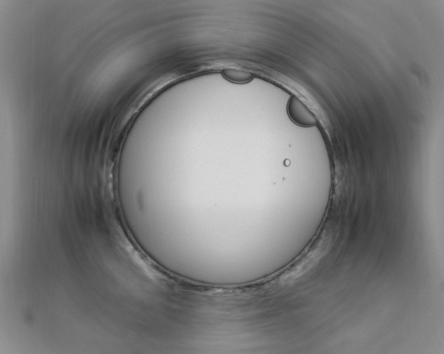 X0000112870906200908211027
