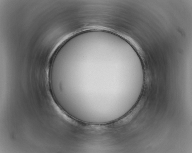X0000112870910200908211027