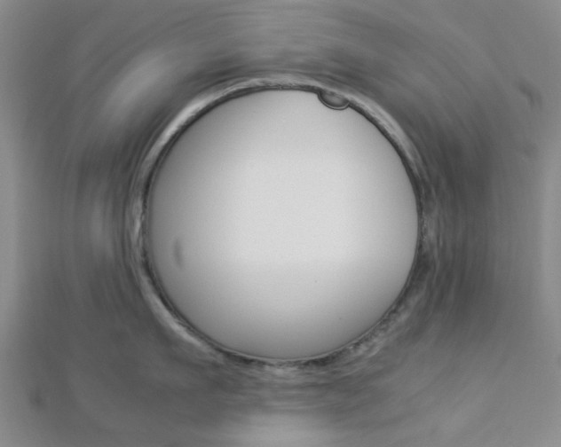 X0000112870911200908211027