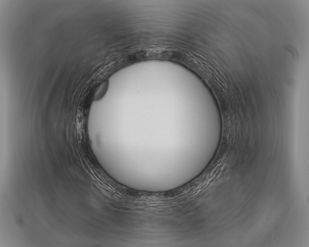 X0000112870914200908211026