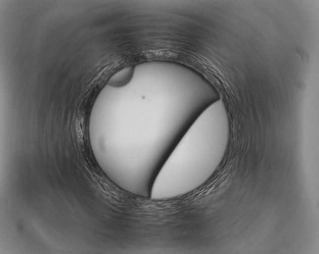X0000112870915200908211026