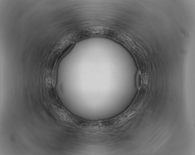 X0000112870916200908211026
