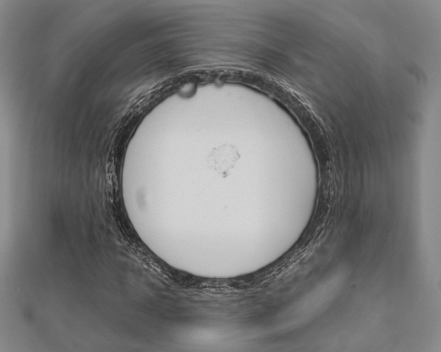 X0000112870918200908211026