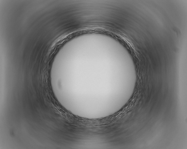 X0000112870920200908211026