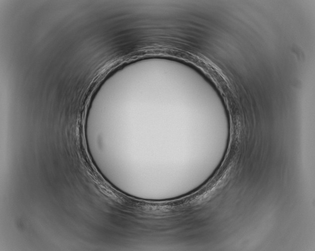 X0000112870921200908211026