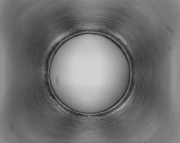 X0000112870922200908211026