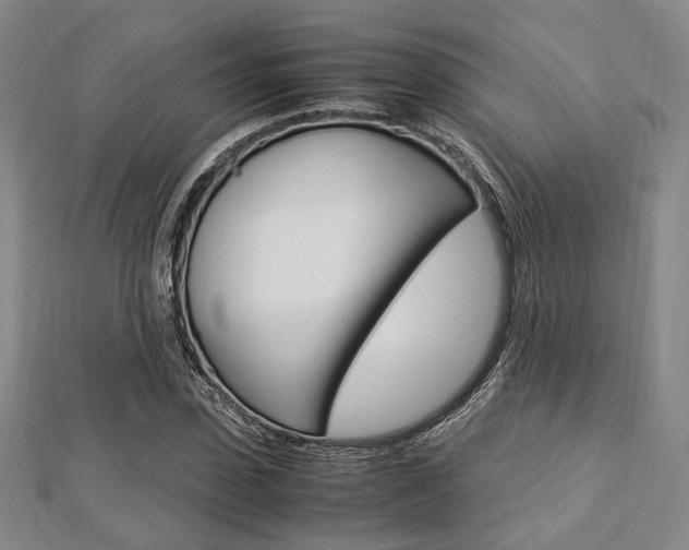 X0000112870923200908211026
