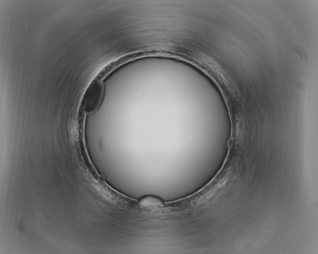 X0000112870924200908211026