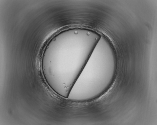 X0000112870925200908211026