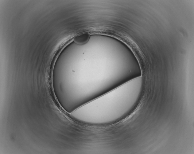X0000112870930200908211026