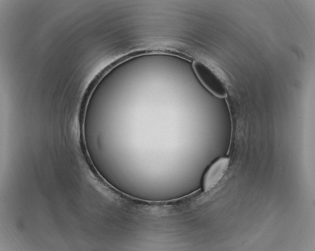 X0000112870936200908211027
